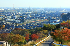 …金生山からの眺め…