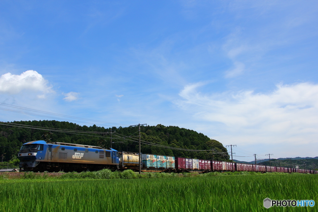 …夏の日②…