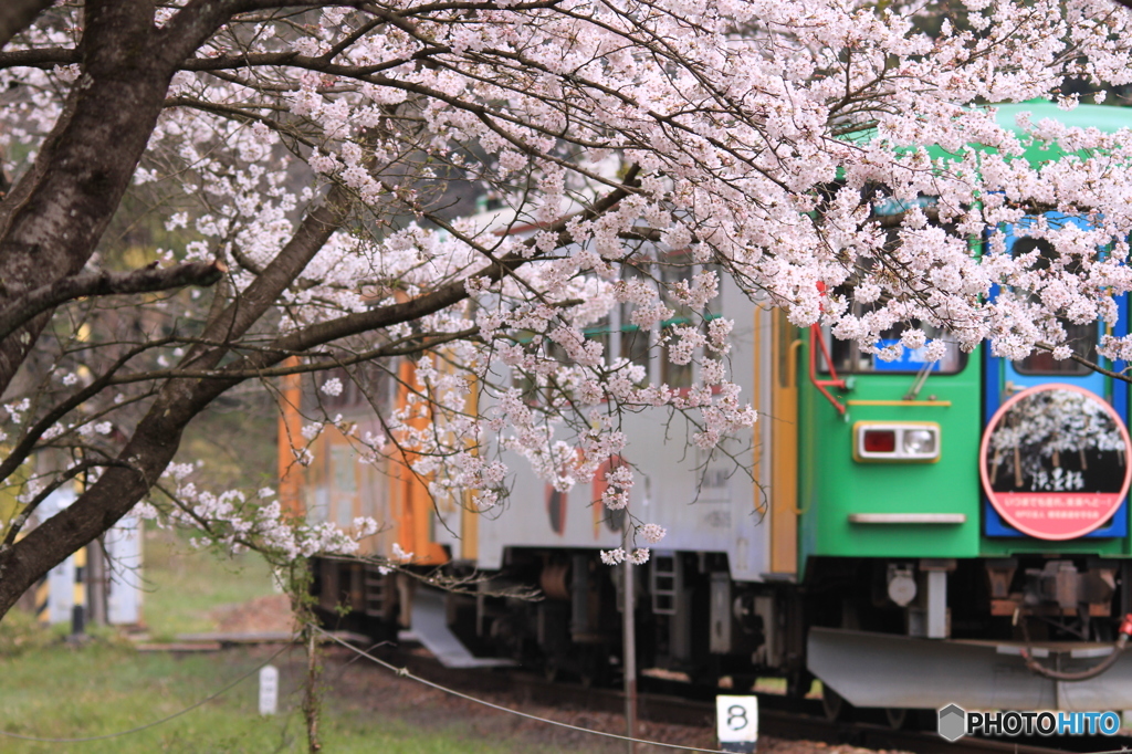 …～ｓｐｒｉｎｇ～…