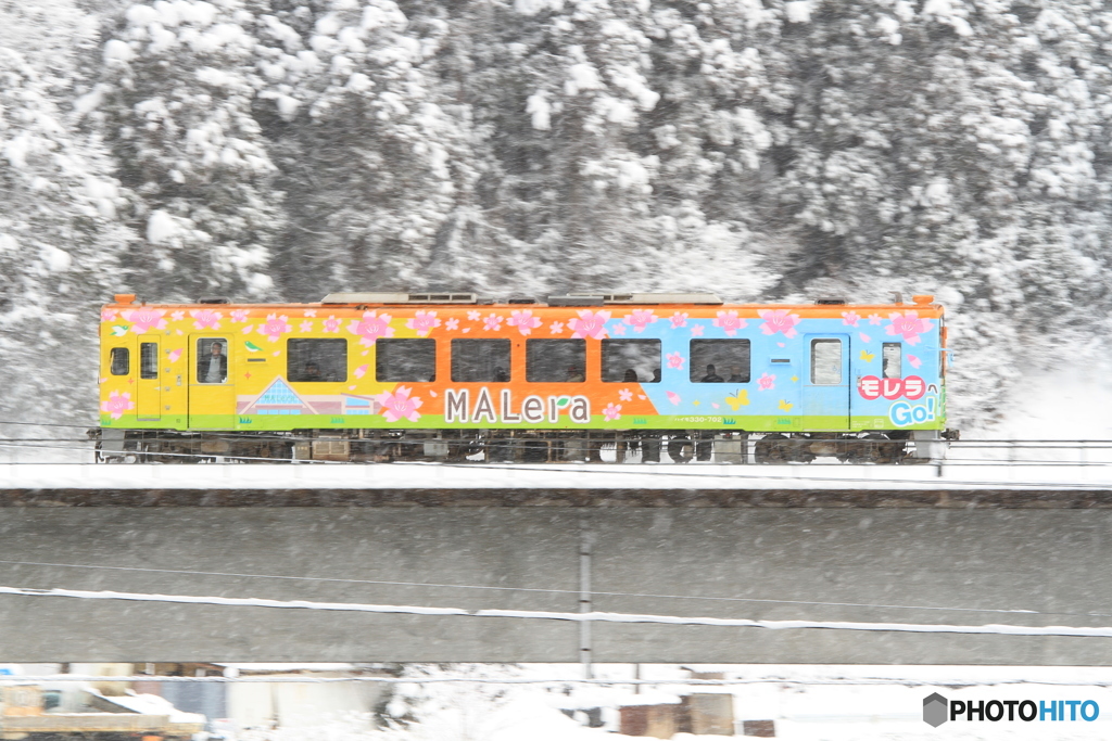 …ＭＡＬｅｒａ　ｇｏ！①…
