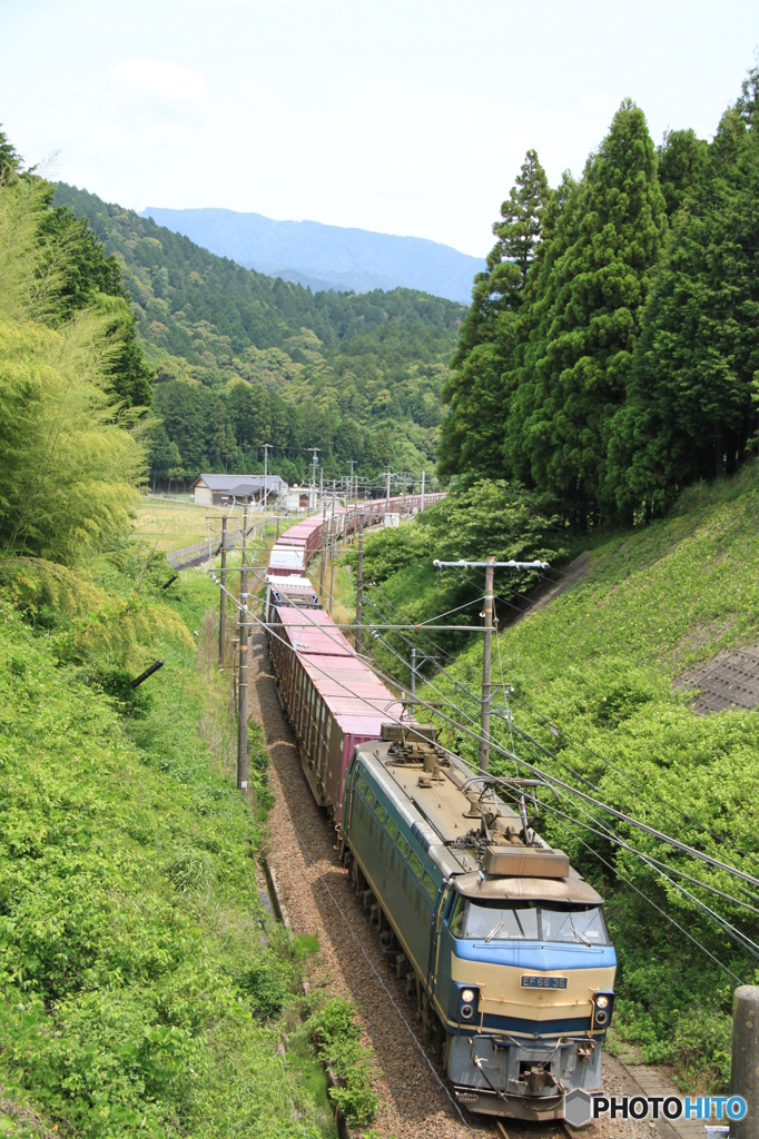 …新緑の中を…