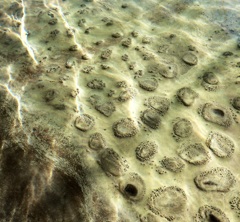 足湯でぽっかぽか♪