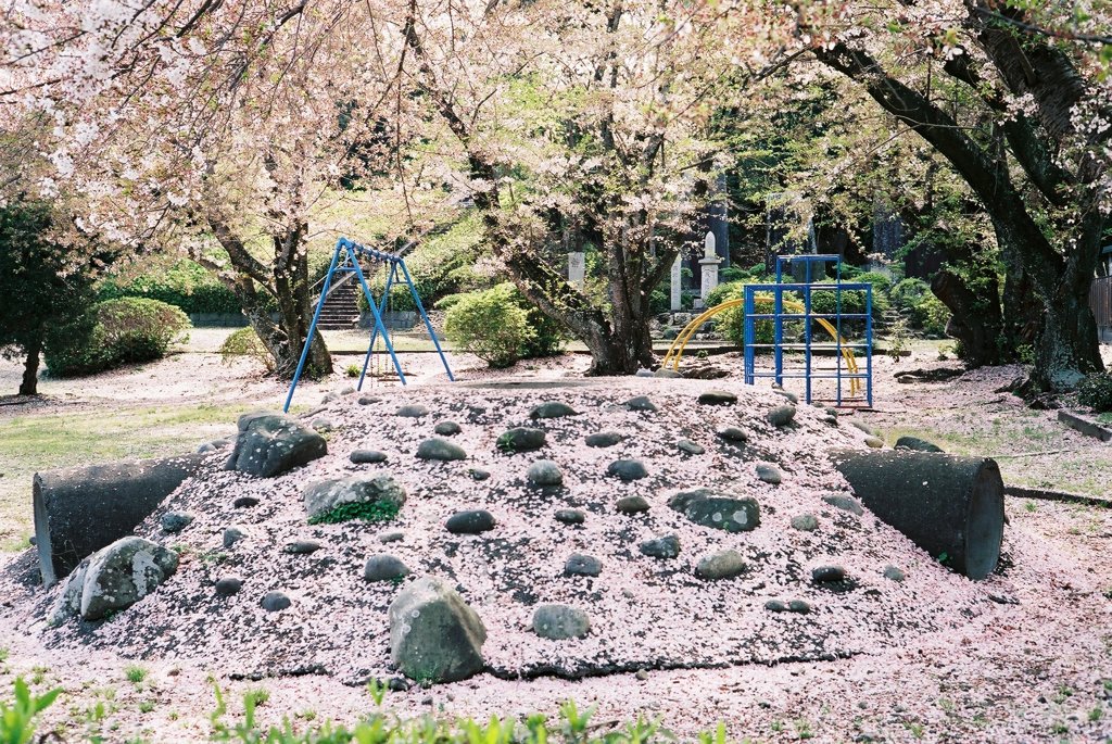 桜の公園