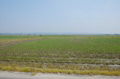 磐田市