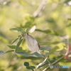 DSC03200