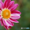 DSC07097