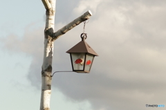 DSC08006