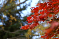 PICT0082