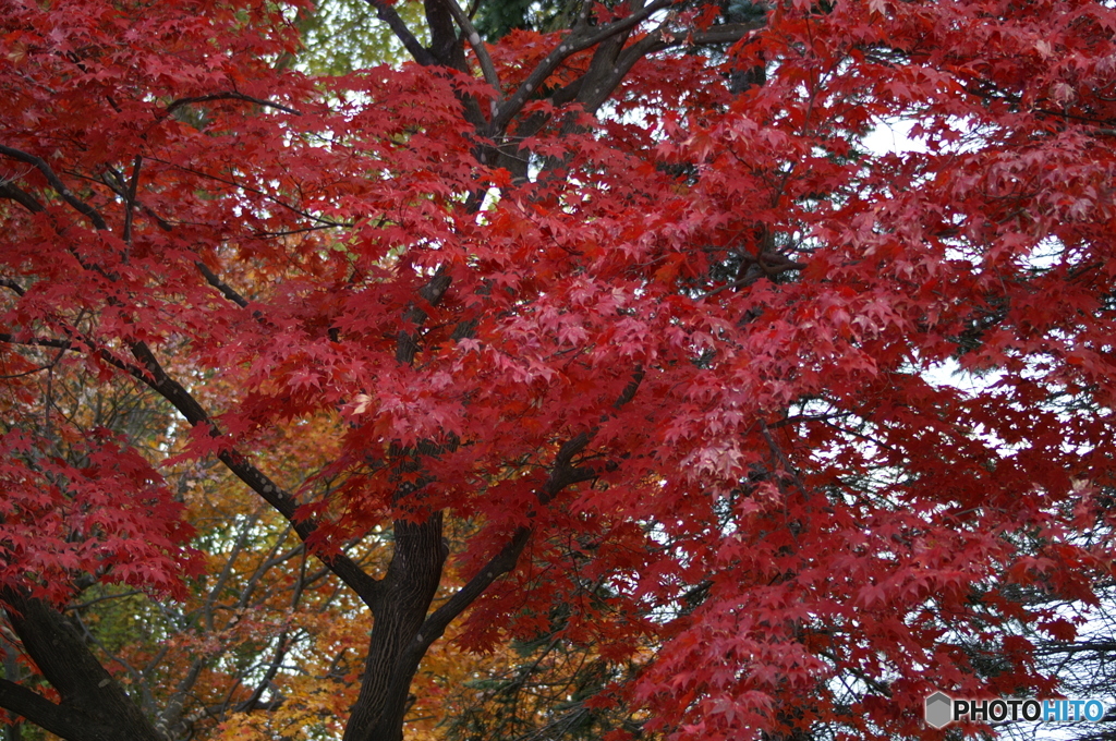 PICT0393