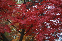 PICT0393