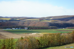 DSC09113