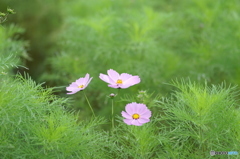 PICT0127
