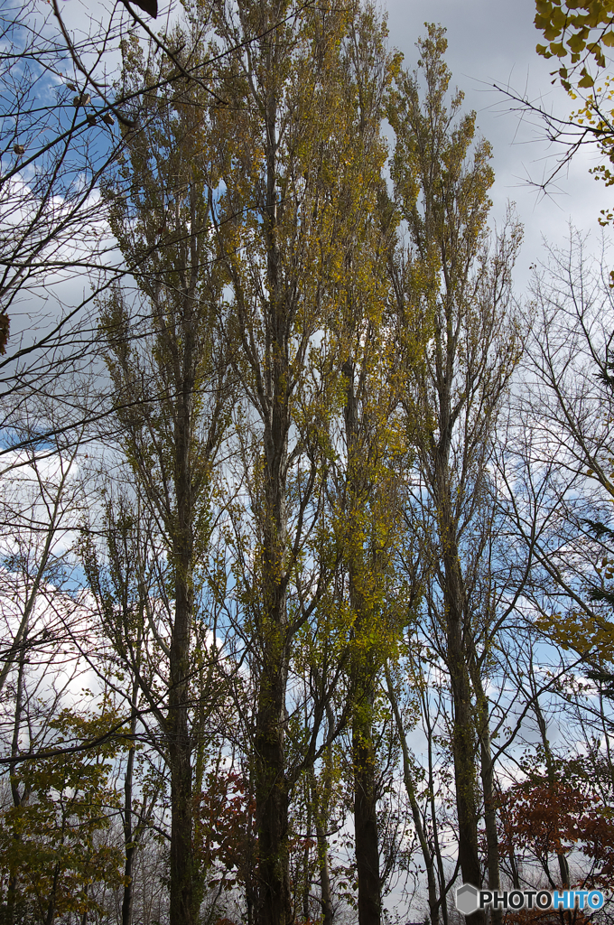 DSC_0321