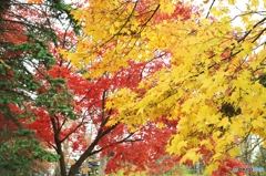 PICT0149