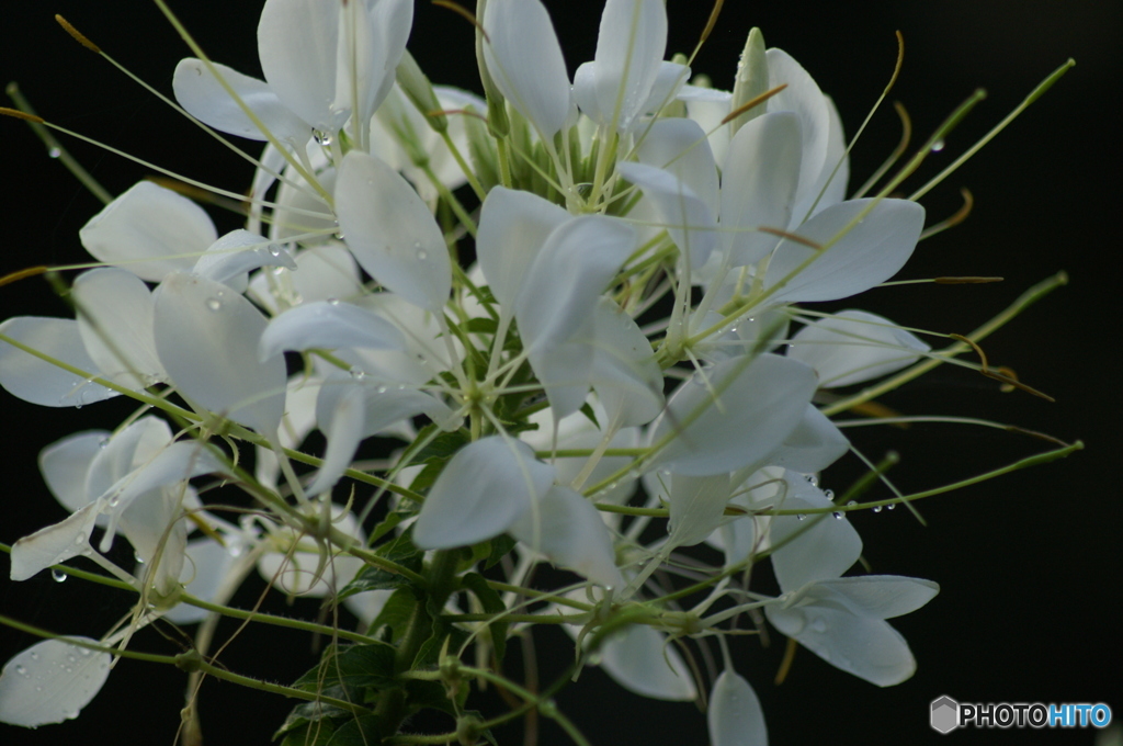 PICT0020