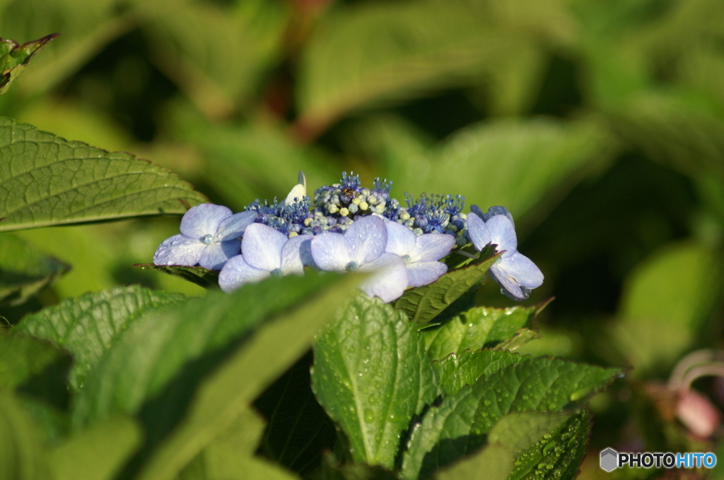 PICT0044