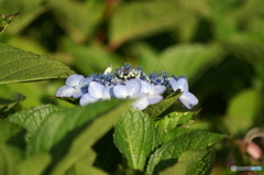 PICT0044