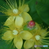 DSC02885