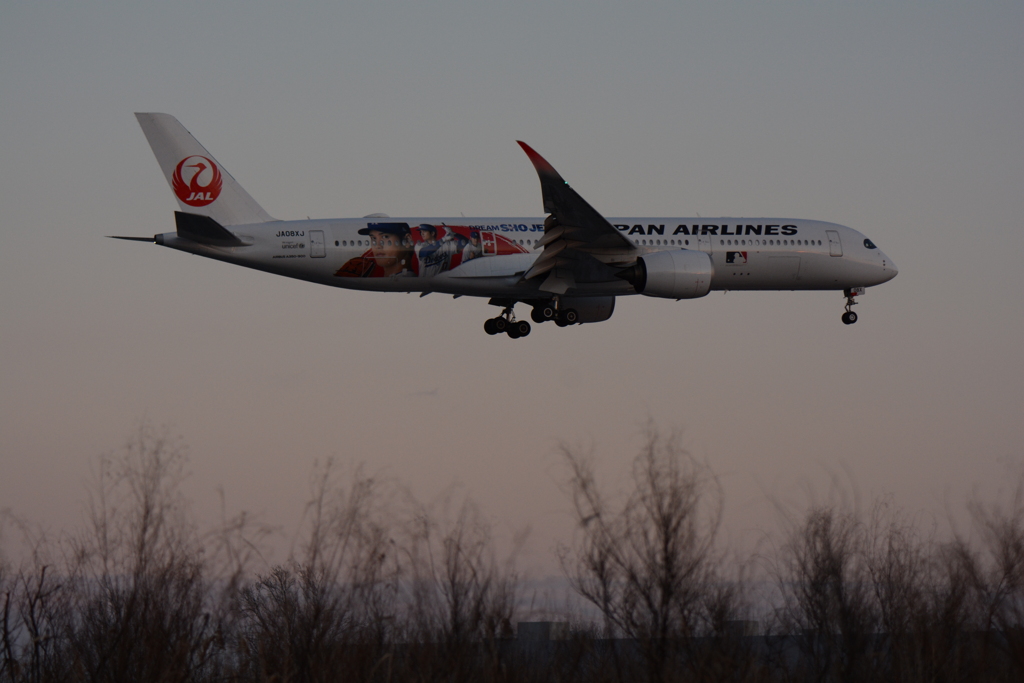 おおたに（ＪＡＬ）