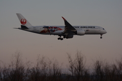 おおたに（ＪＡＬ）