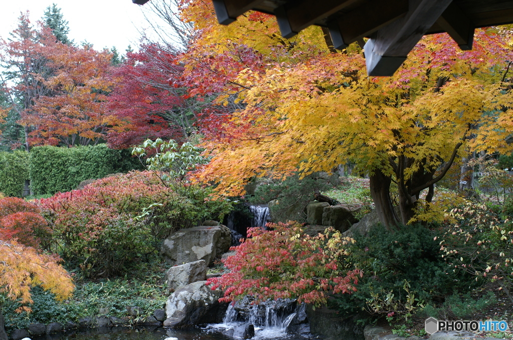 PICT0252