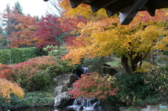 PICT0252
