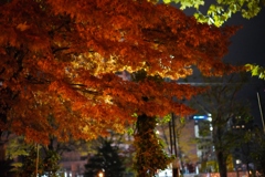 真夜中の光に照らされて