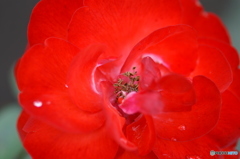 PICT0136