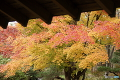 DSC09917