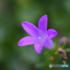 DSC05244