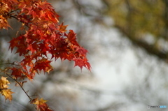 PICT0348