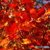 PICT0135