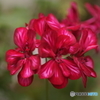 DSC04020