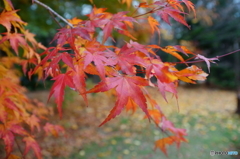 DSC00092