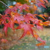 DSC00092