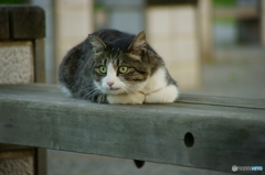 DSC05140