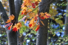 PICT0089