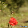 DSC05749