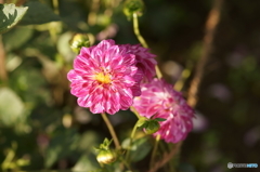 DSC08149
