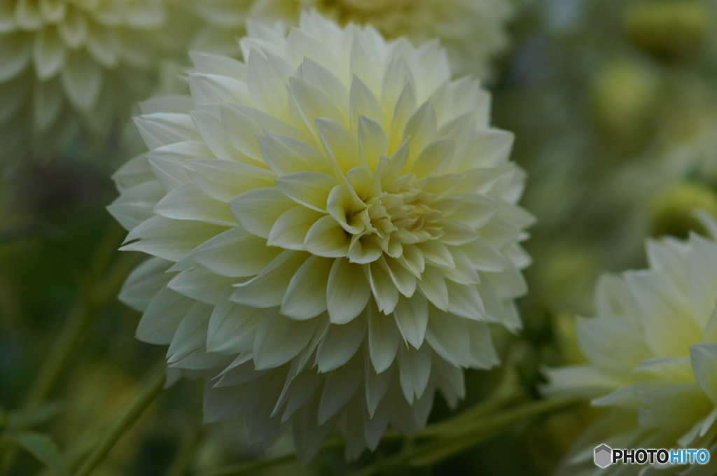 PICT0022
