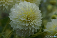 PICT0022