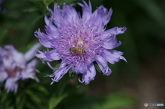 DSC03060