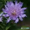 DSC03060