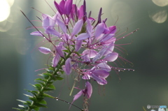 PICT0015