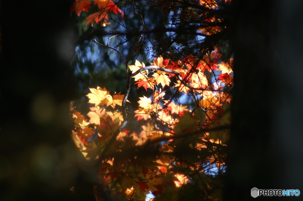PICT0159