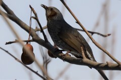 めし粒ついてるよ