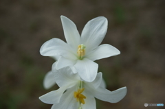 DSC02000