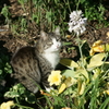 DSC01615