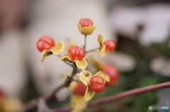 DSC00408