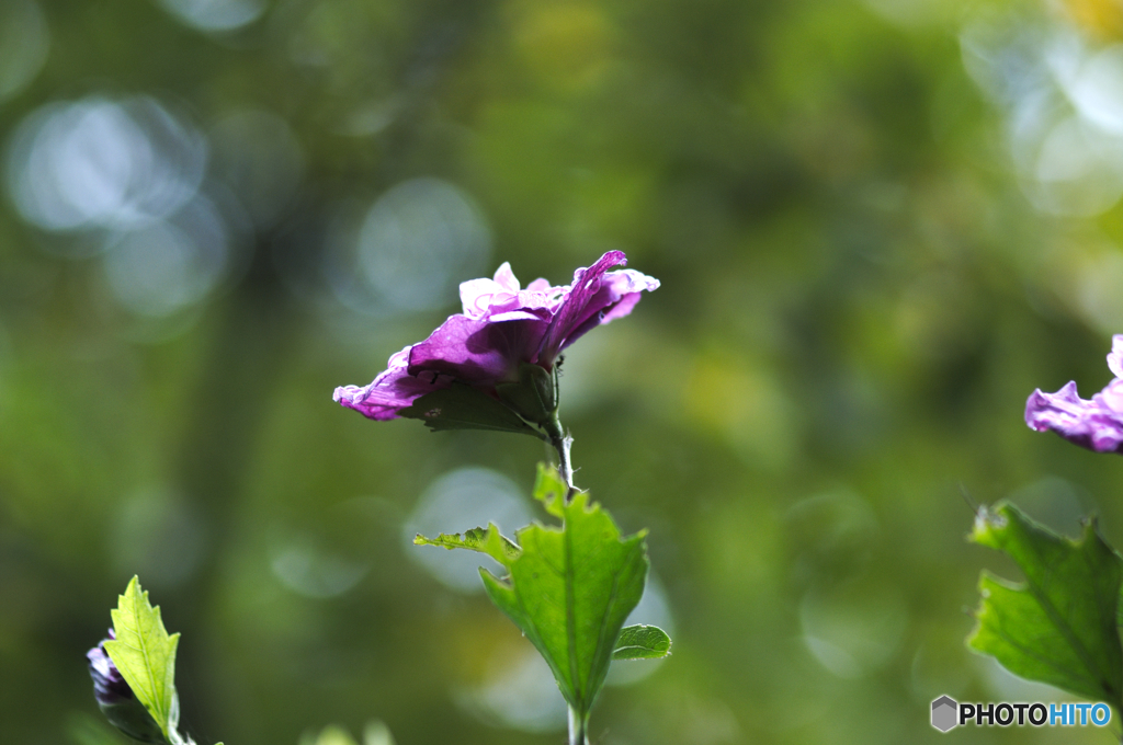 PICT0126
